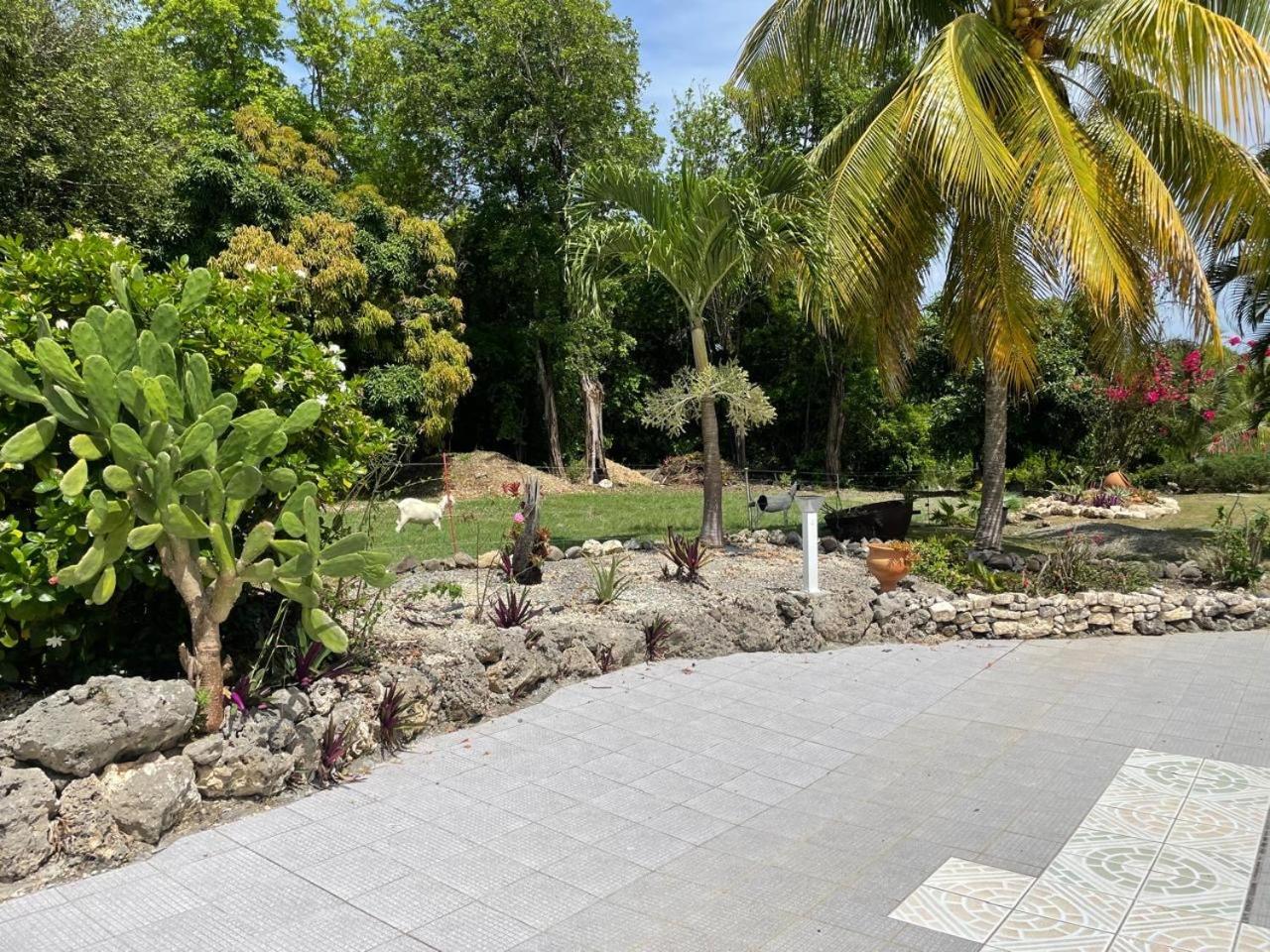 L'Aseta Paradise Grand-Bourg  Extérieur photo