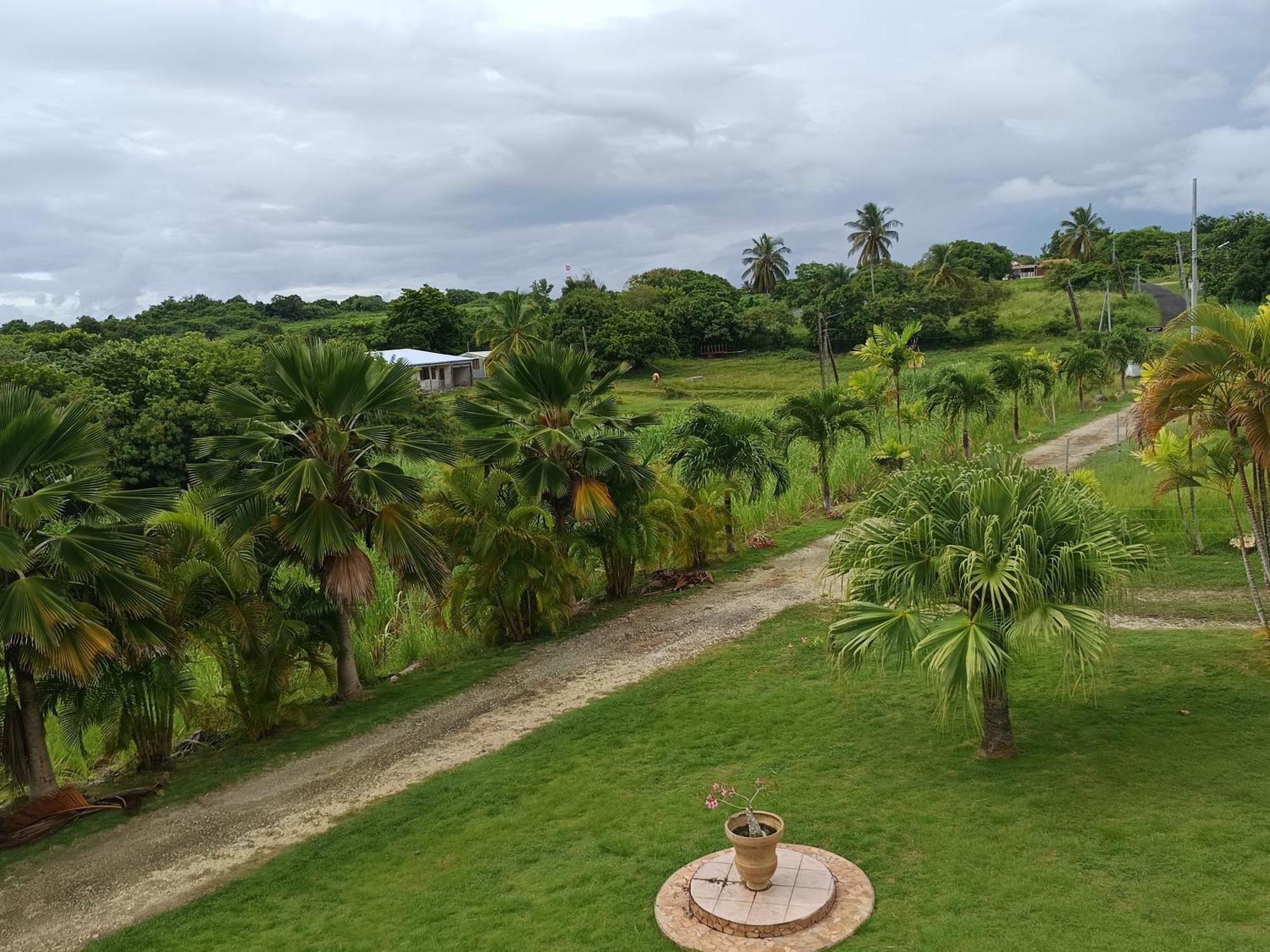 L'Aseta Paradise Grand-Bourg  Extérieur photo